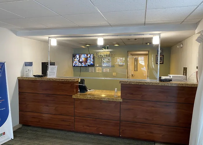 Quality Inn Flamingo